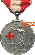 Medaille van Verdienste in zilver